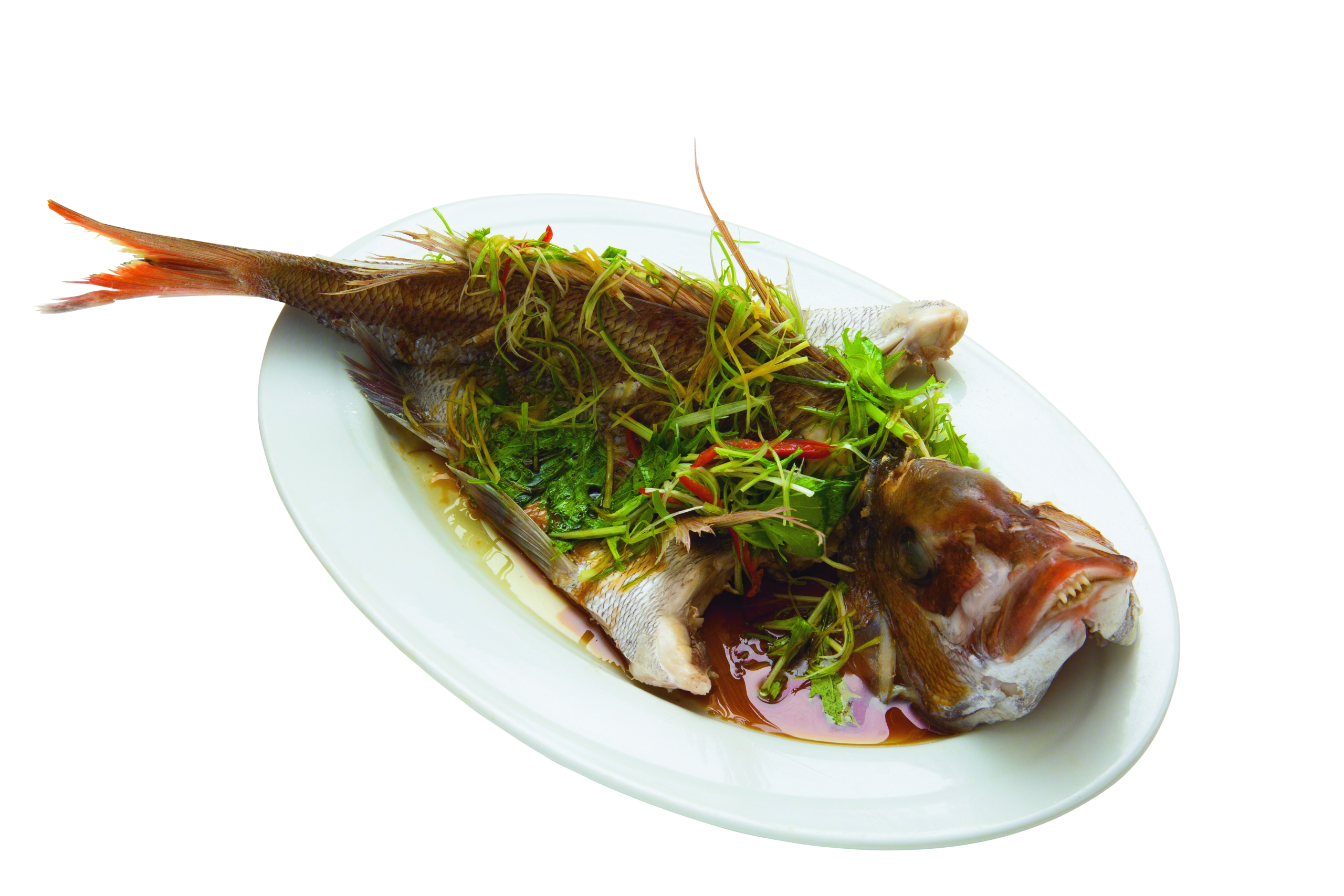 menu6