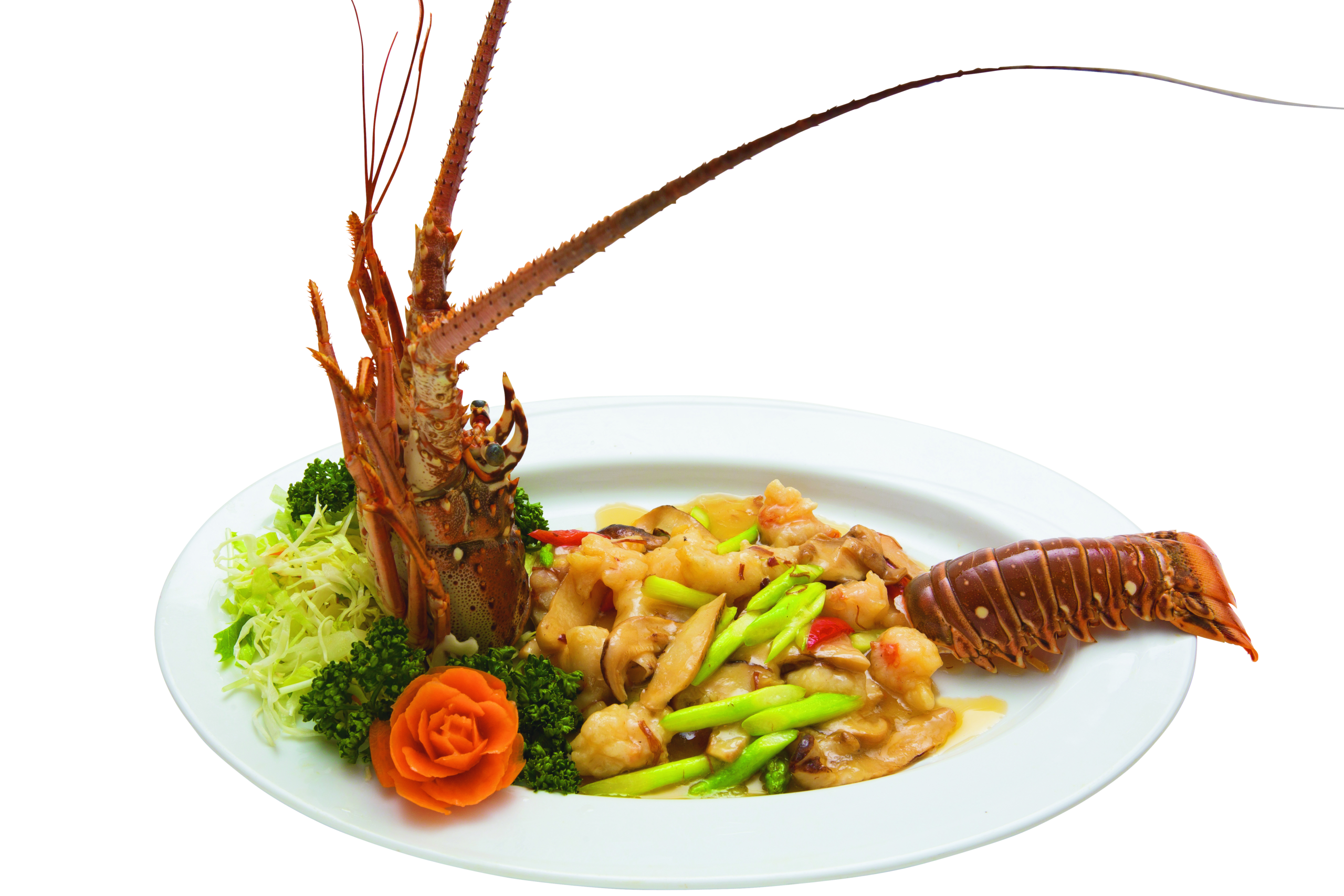 menu9